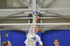 Volleyball vs Babson  Wheaton Women's Volleyball vs Babson College. - Photo by Keith Nordstrom : Wheaton, Volleyball, VB